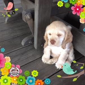 Meet your Posher, Sandy